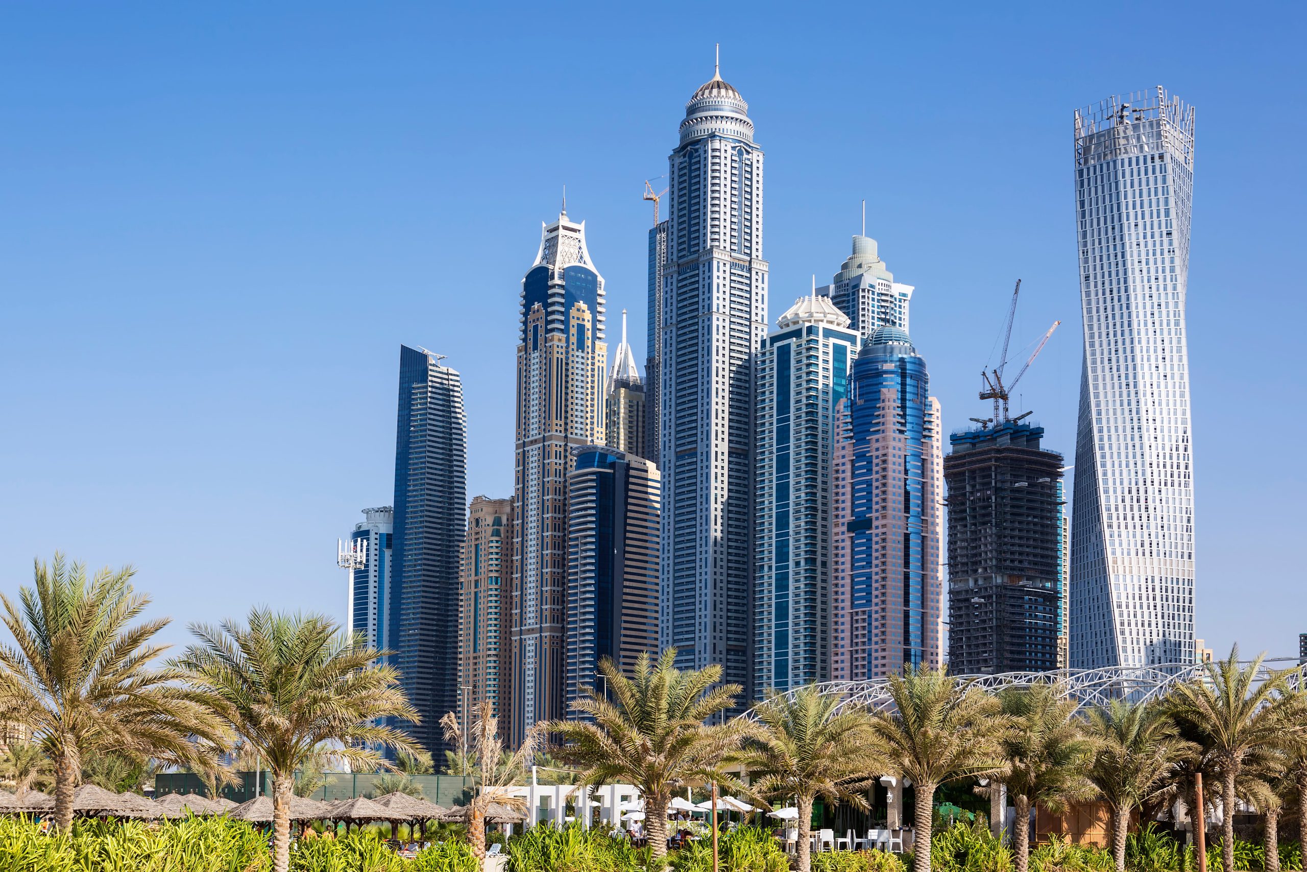 skyscrapers-palm-trees-dubai-uae (1)