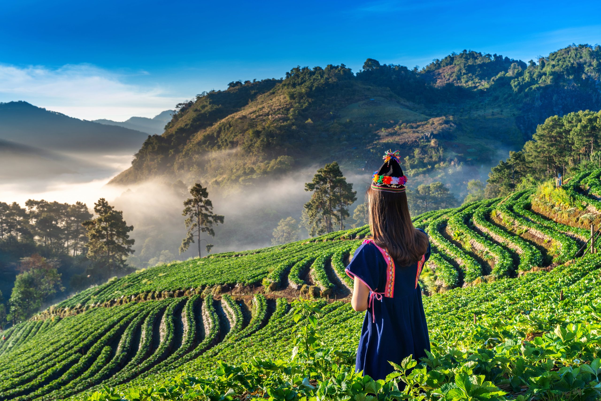 woman-wearing-hill-tribe-dress-strawberry-garden-doi-ang-khang-chiang-mai-thailand (1)